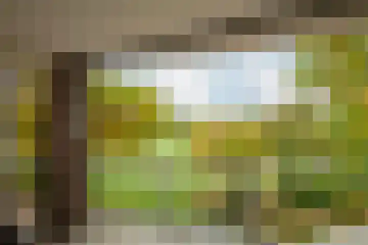 Mikonospad 29 Amsterdam thumbnail 29
