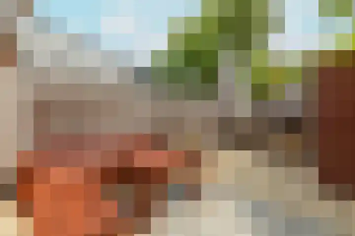 Mikonospad 29 Amsterdam thumbnail 30
