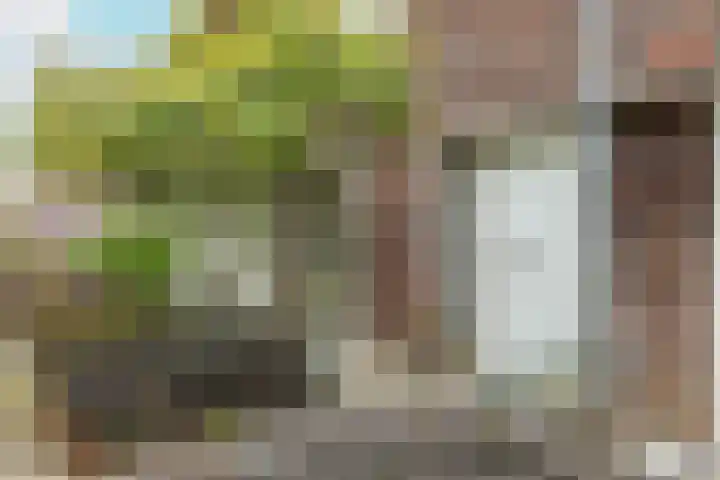 Mikonospad 29 Amsterdam thumbnail 32