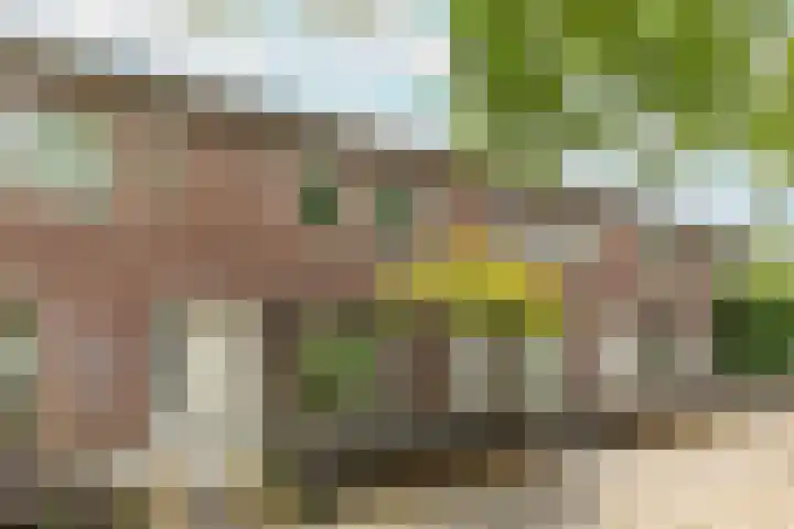 Mikonospad 29 Amsterdam thumbnail 33