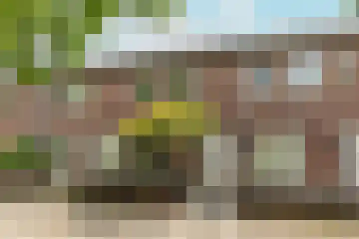 Mikonospad 29 Amsterdam thumbnail 35