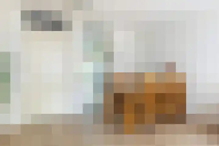 Mikonospad 29 Amsterdam thumbnail 6