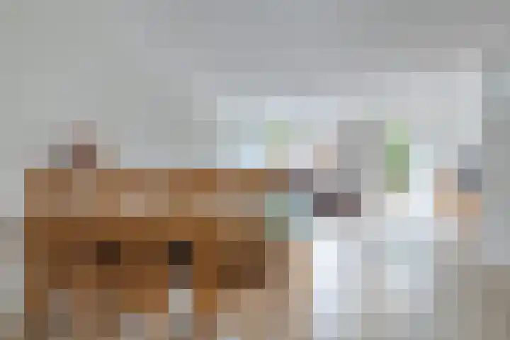 Mikonospad 29 Amsterdam thumbnail 7