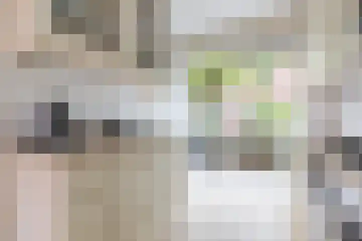 Mikonospad 29 Amsterdam thumbnail 9