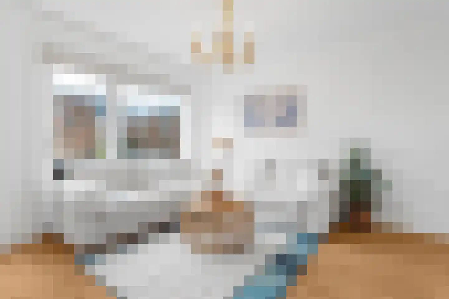 Mikonospad 32 Amsterdam thumbnail 11