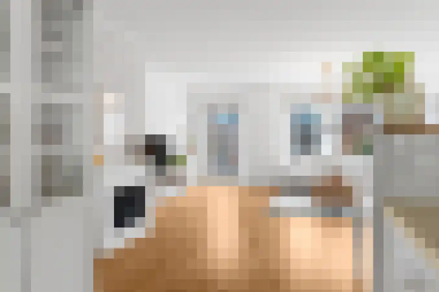 Mikonospad 32 Amsterdam thumbnail 13