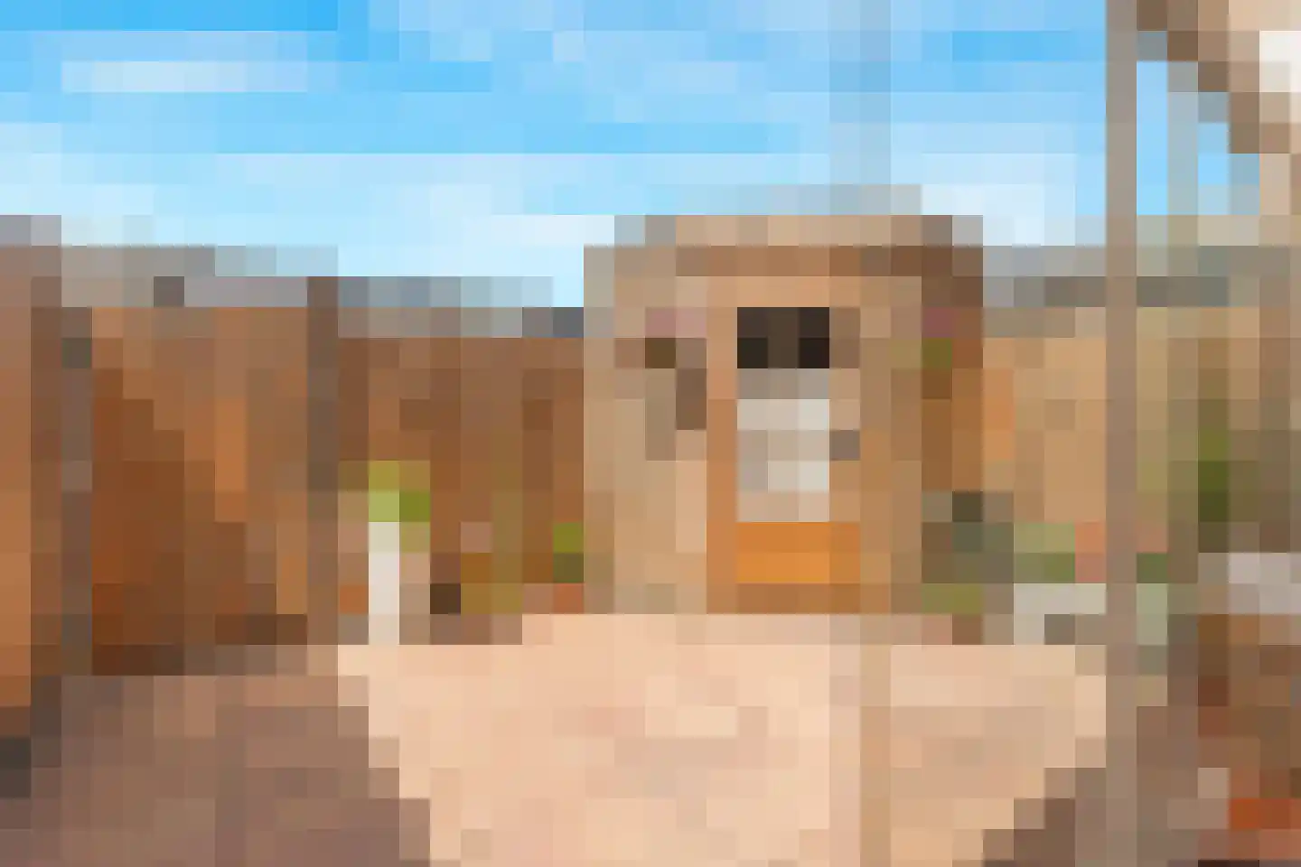 Mikonospad 32 Amsterdam thumbnail 21