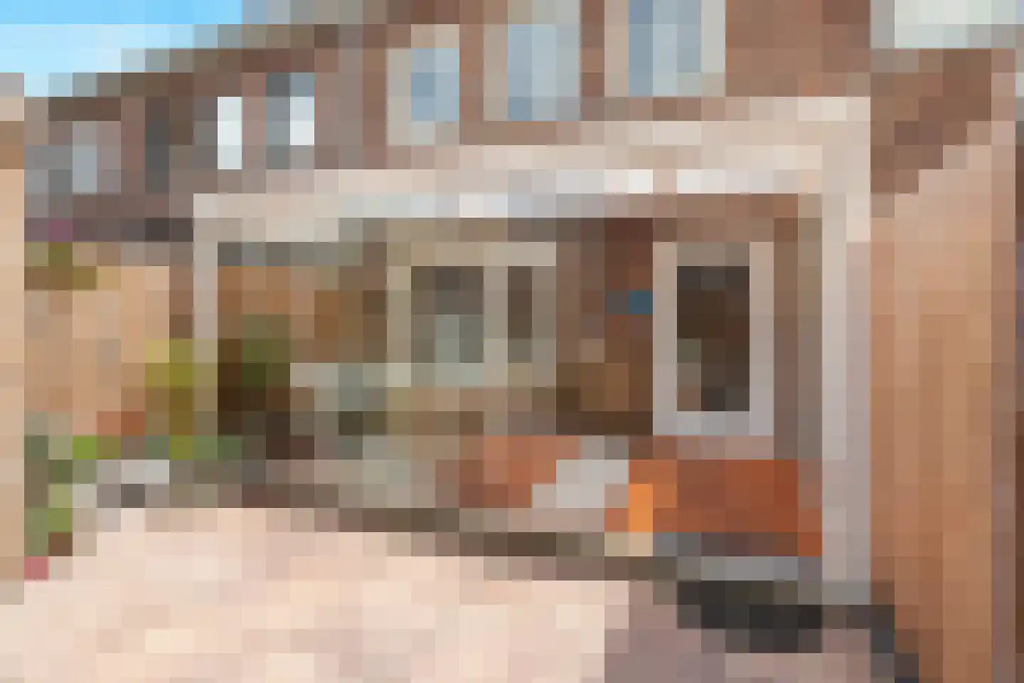 Mikonospad 32 Amsterdam thumbnail 22