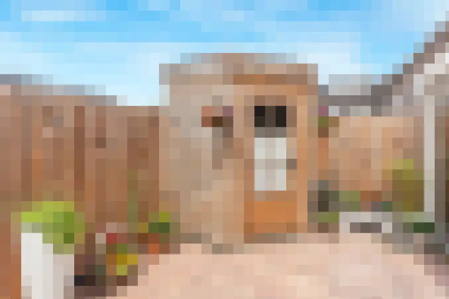 Mikonospad 32 Amsterdam thumbnail 22