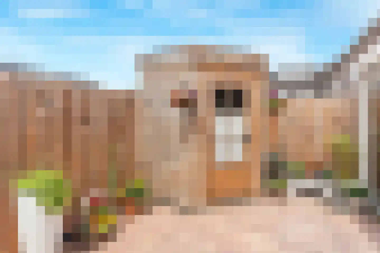 Mikonospad 32 Amsterdam thumbnail 23