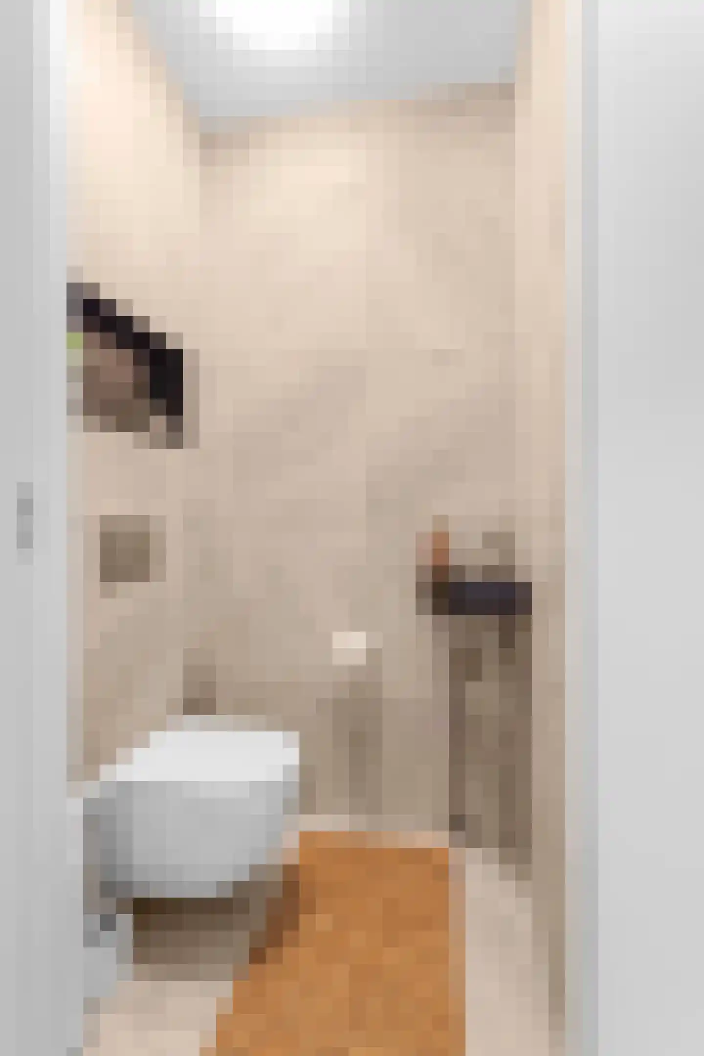 Mikonospad 32 Amsterdam thumbnail 35