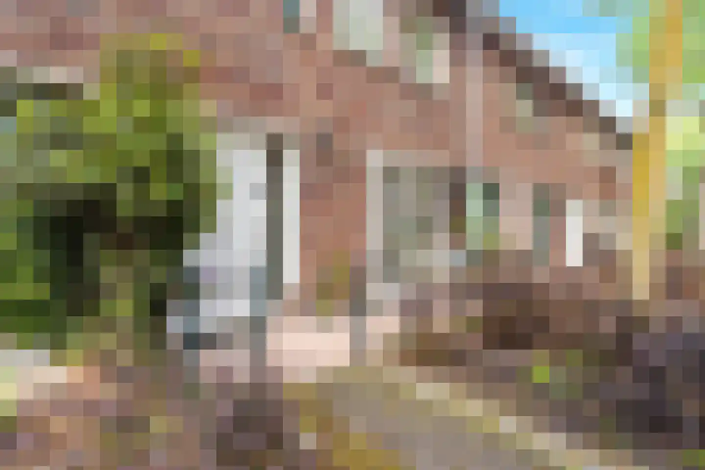 Mikonospad 32 Amsterdam thumbnail 39