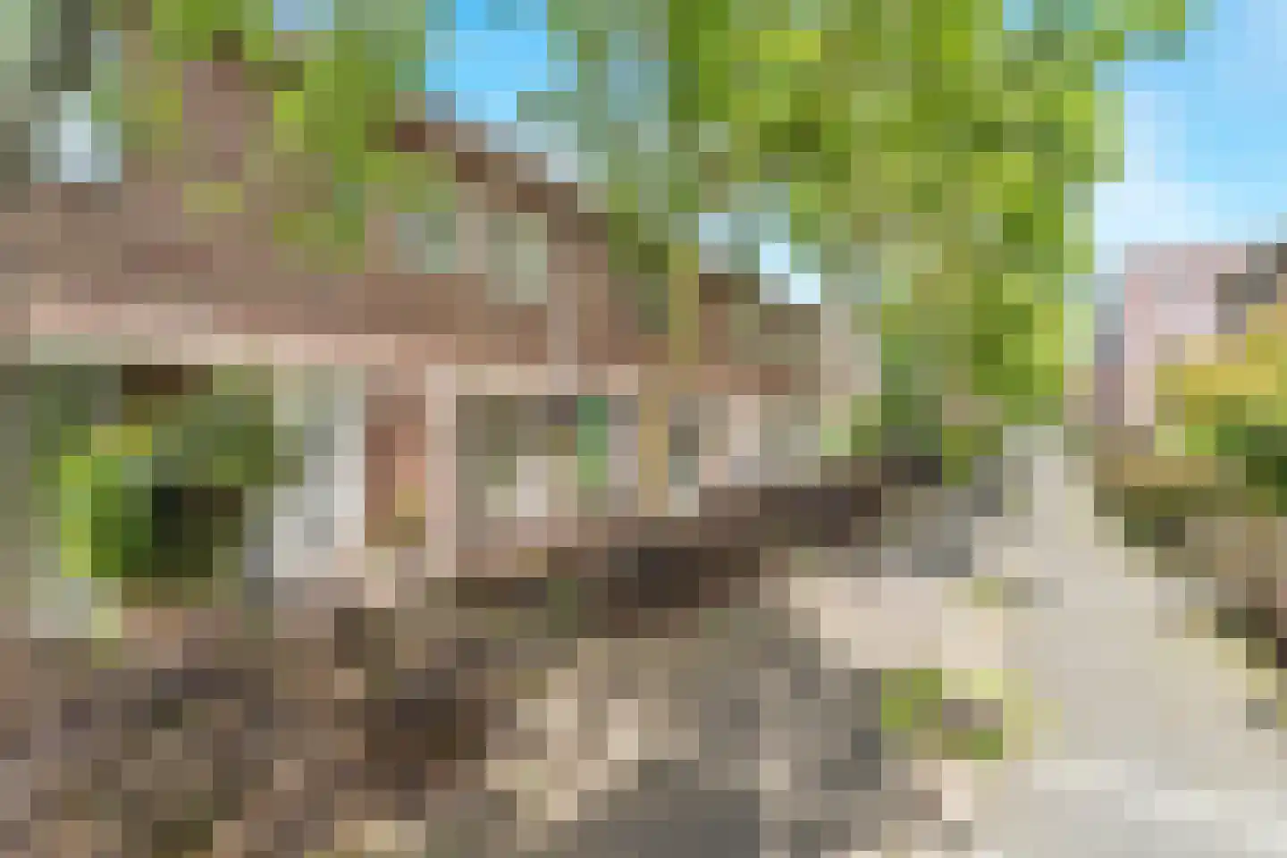 Mikonospad 32 Amsterdam thumbnail 8