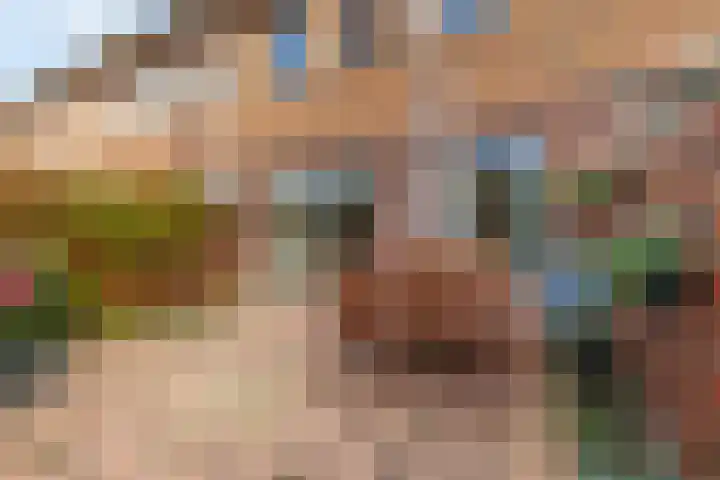 Mikonospad 36 Amsterdam thumbnail 10