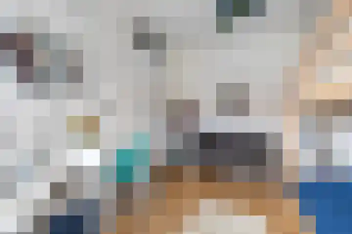 Mikonospad 36 Amsterdam thumbnail 19