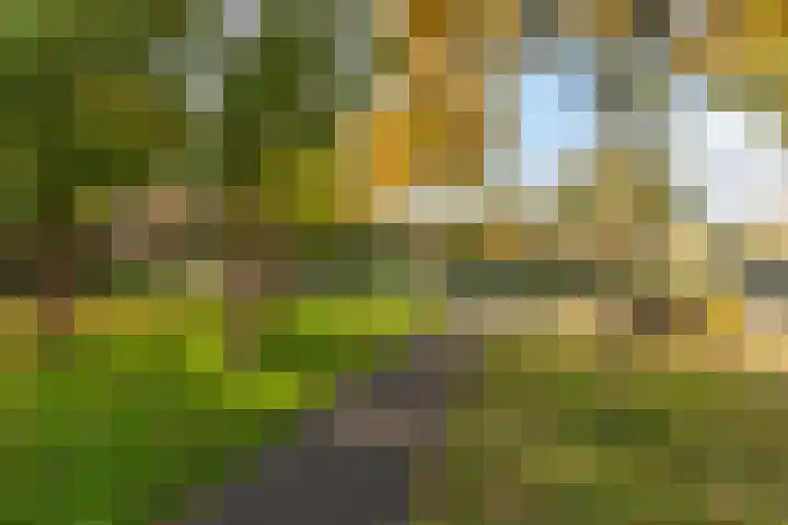 Mikonospad 36 Amsterdam thumbnail 33