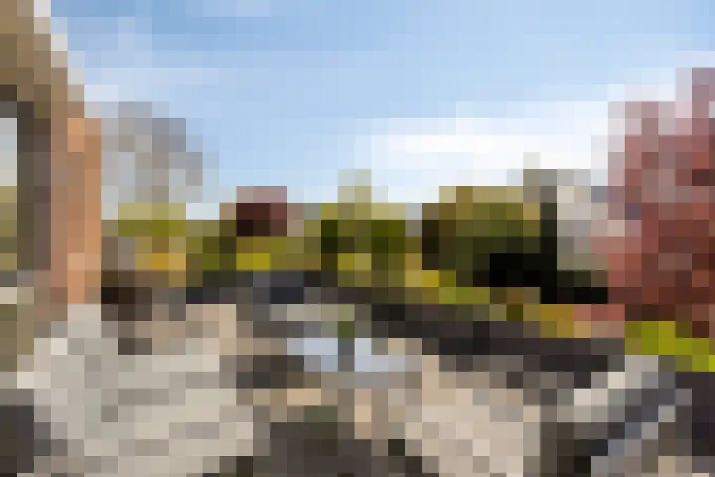 Mildenburgallee 114 Spijkenisse thumbnail 28