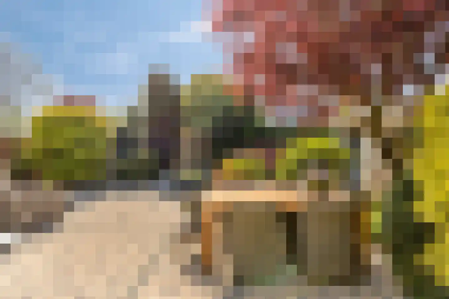 Mildenburgallee 114 Spijkenisse thumbnail 31