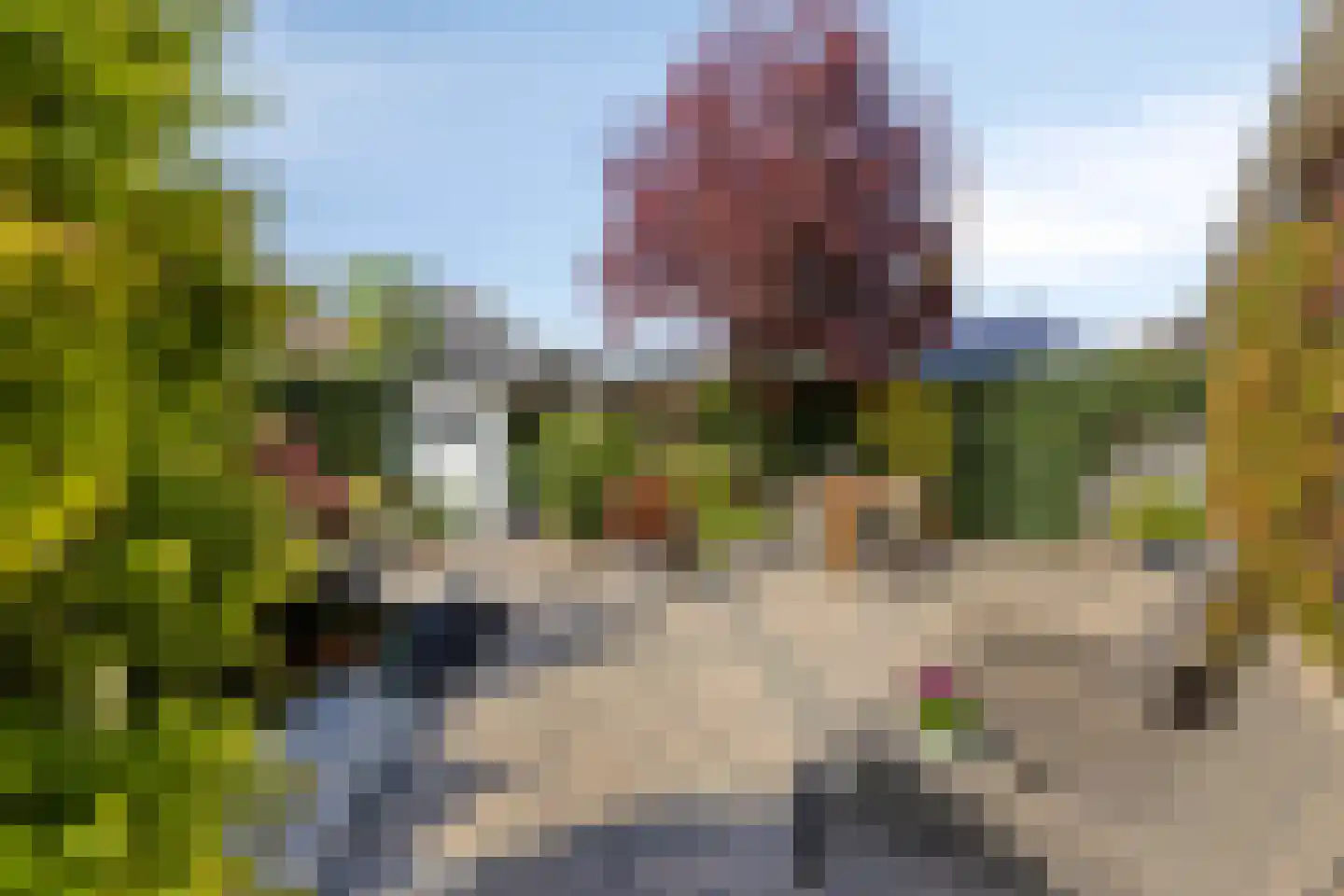 Mildenburgallee 114 Spijkenisse thumbnail 32