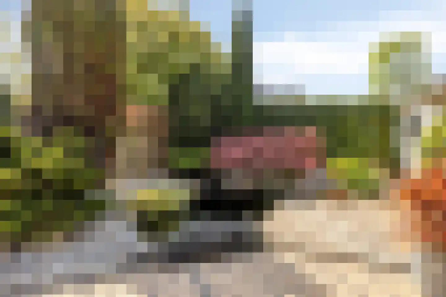 Mildenburgallee 114 Spijkenisse thumbnail 33