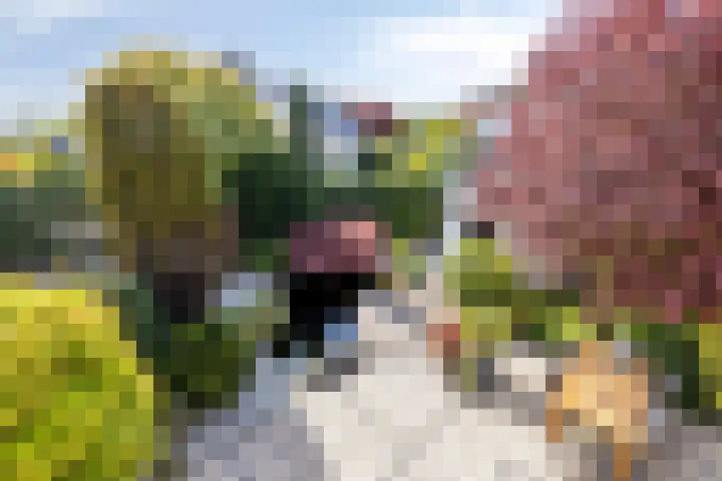 Mildenburgallee 114 Spijkenisse thumbnail 34