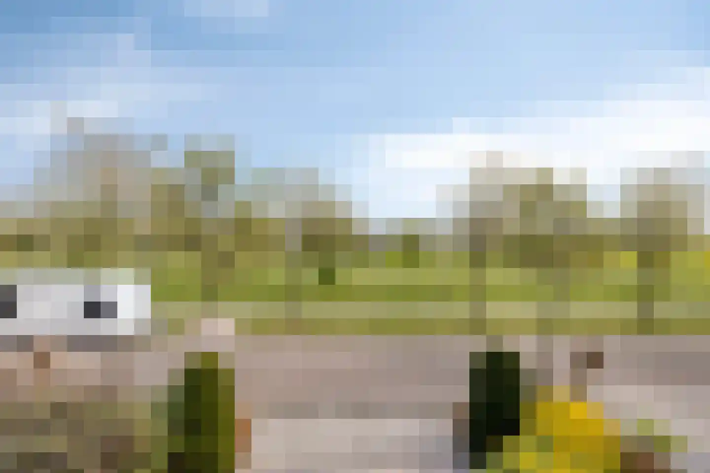 Mildenburgallee 114 Spijkenisse thumbnail 39