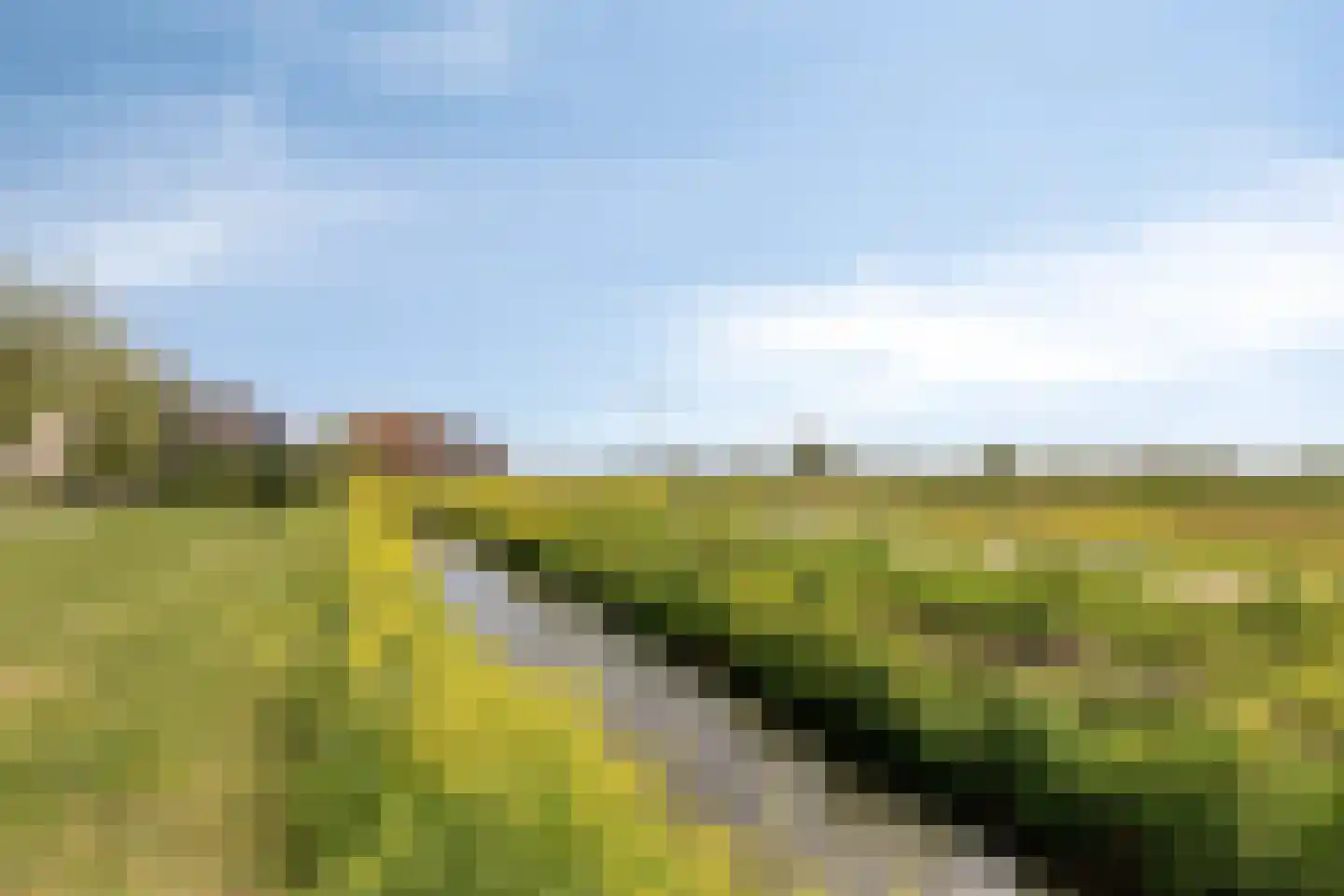 Mildenburgallee 114 Spijkenisse thumbnail 42