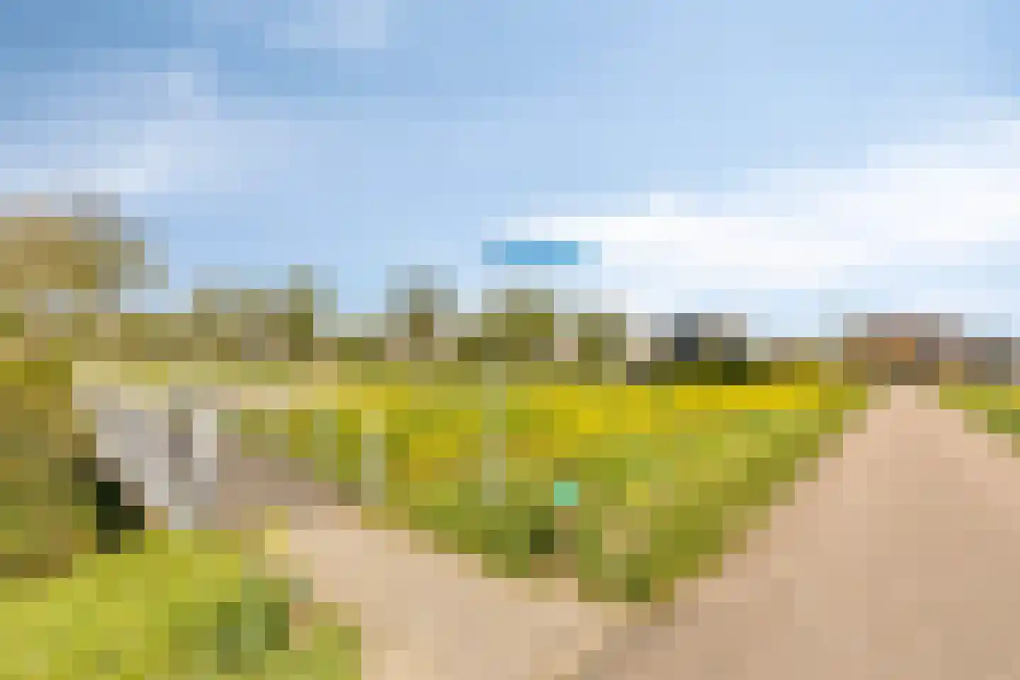 Mildenburgallee 114 Spijkenisse thumbnail 45