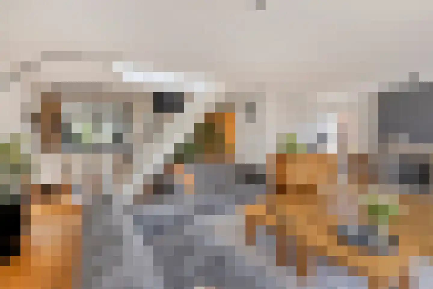 Mildenburgallee 114 Spijkenisse thumbnail 6