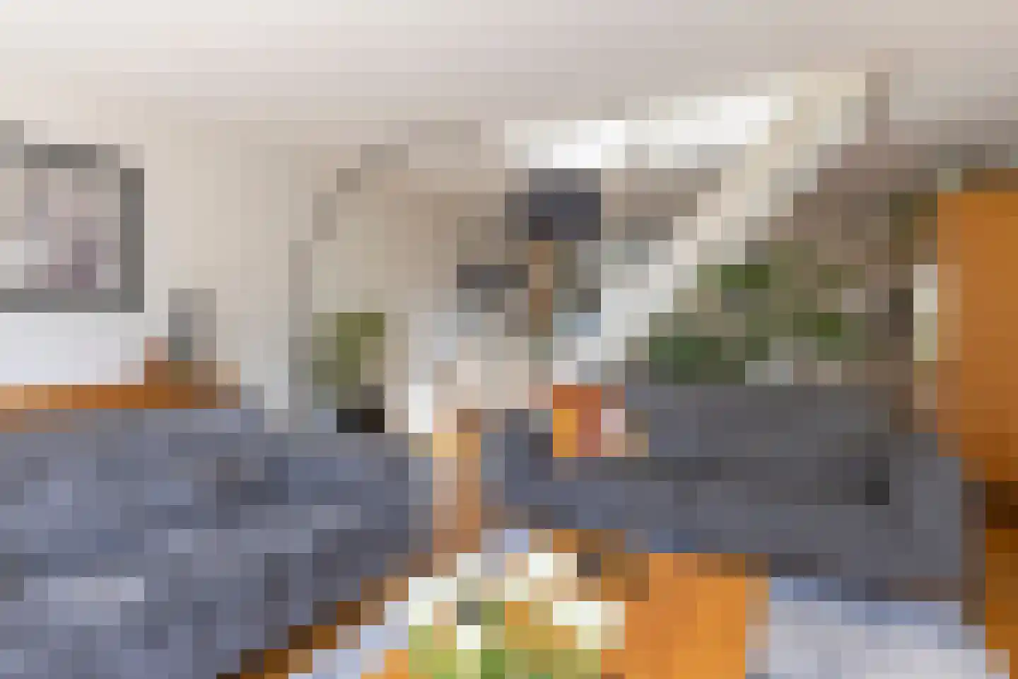 Mildenburgallee 114 Spijkenisse thumbnail 7