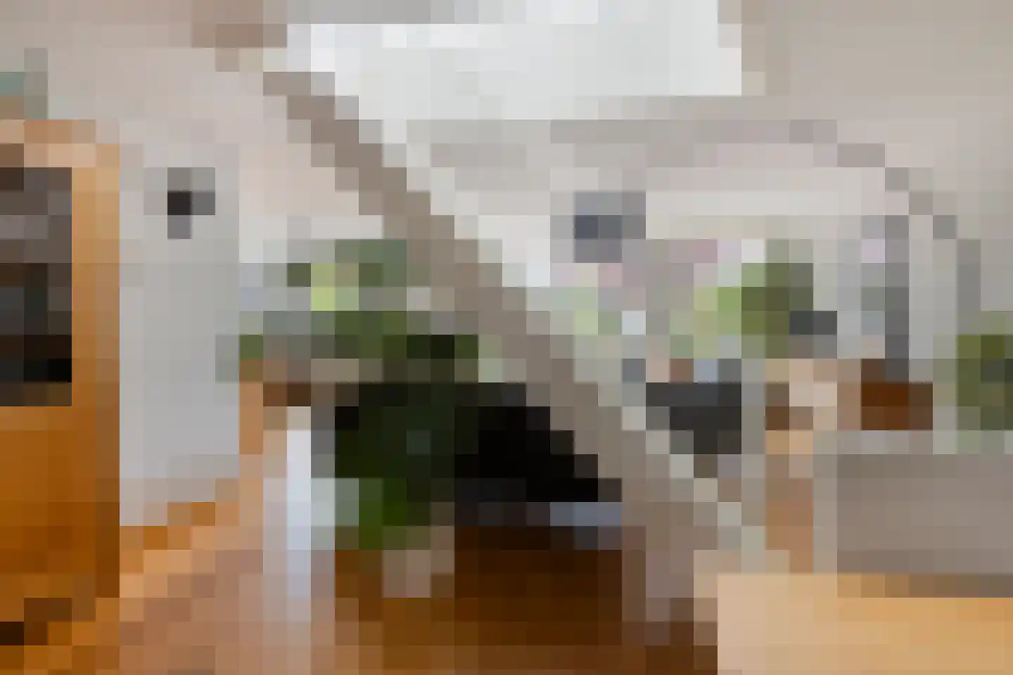 Mildenburgallee 114 Spijkenisse thumbnail 8