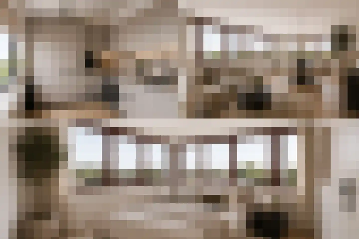 Mildijk 36 Vuren thumbnail 34