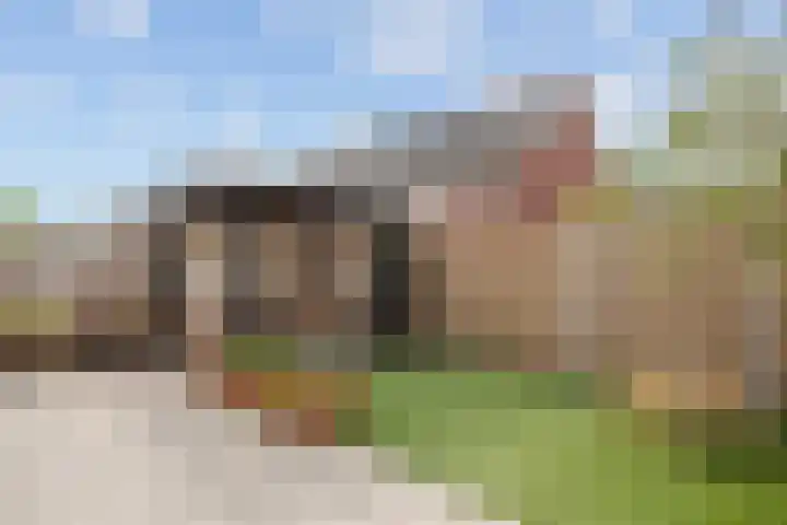 Mildijk 52 Vuren thumbnail 11