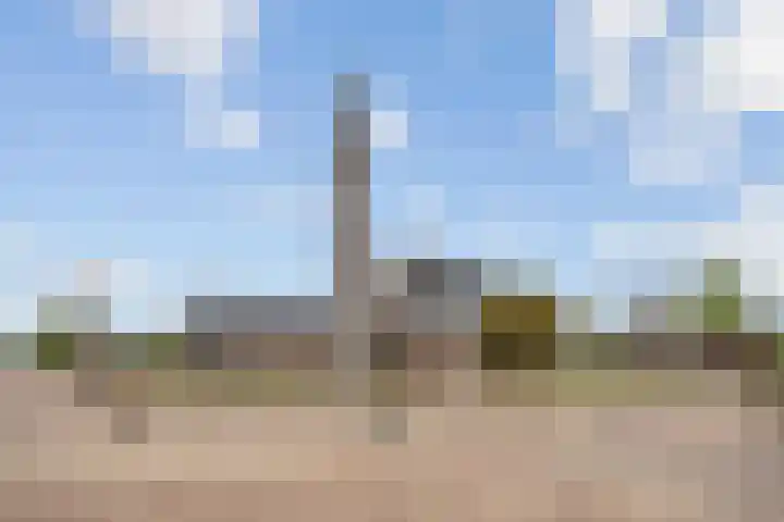 Mildijk 52 Vuren thumbnail 30