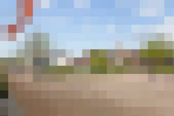Mildijk 52 Vuren thumbnail 31