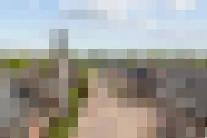 Mildijk 52 Vuren thumbnail 4