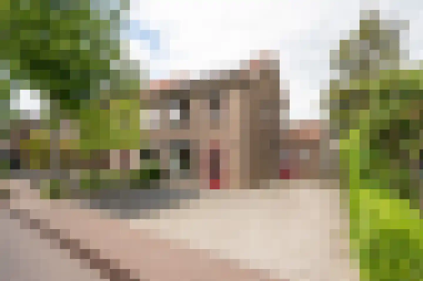 Mildijk 71 Vuren