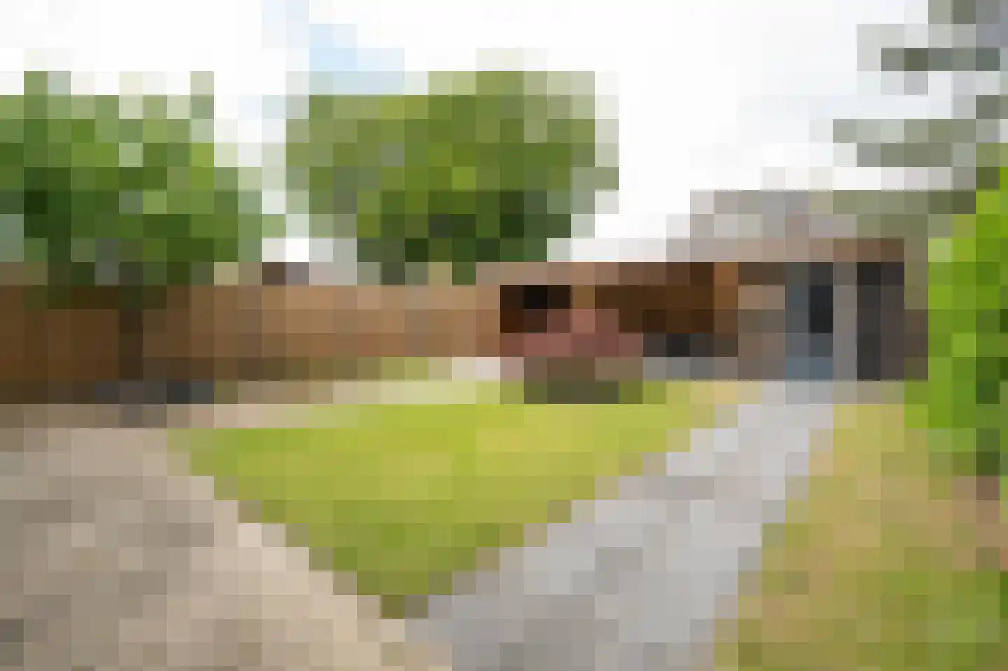 Mildijk 71 Vuren thumbnail 31