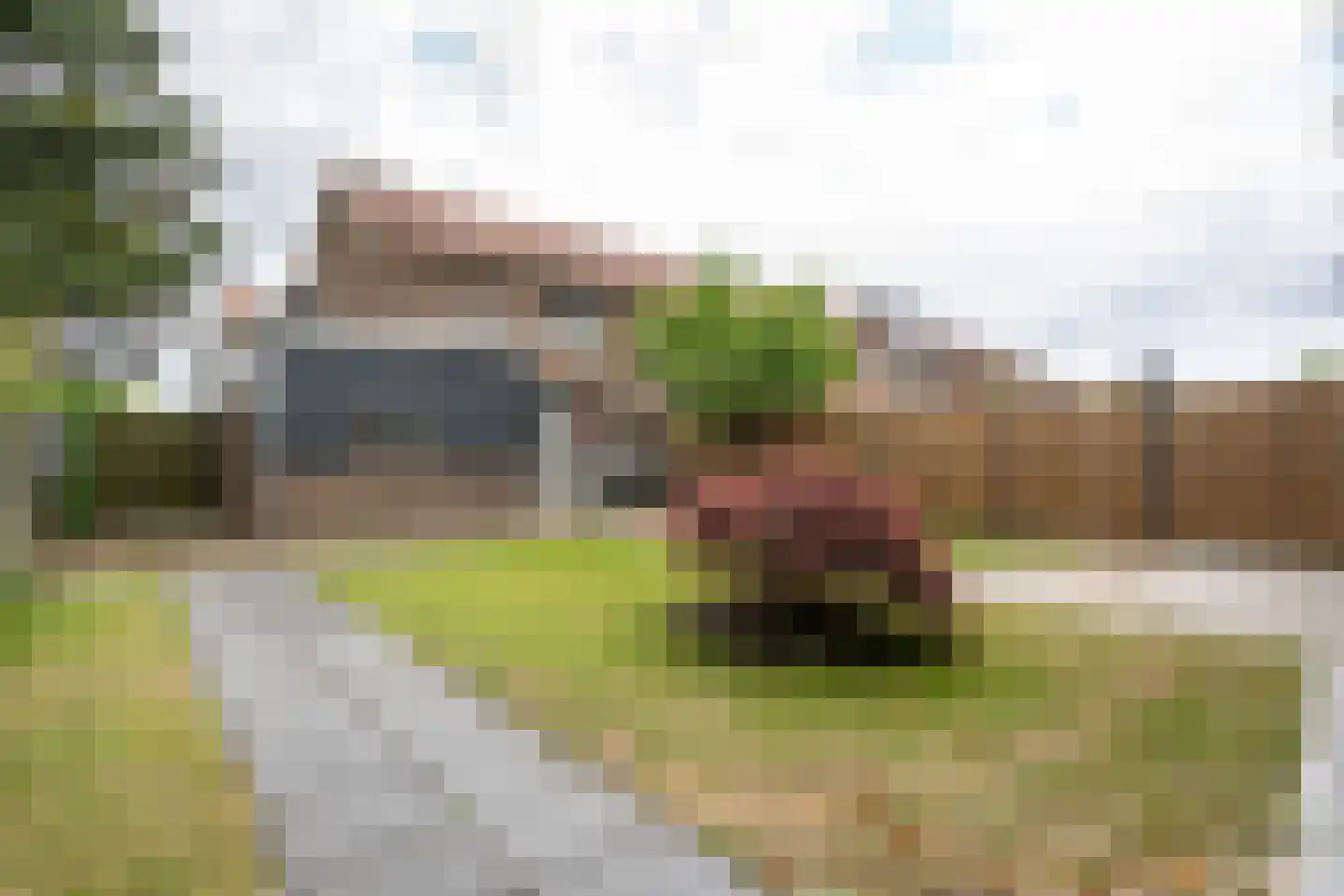 Mildijk 71 Vuren thumbnail 32