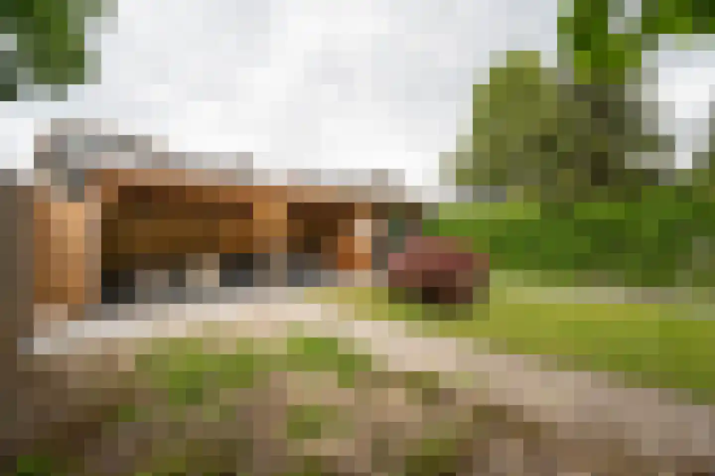 Mildijk 71 Vuren thumbnail 34