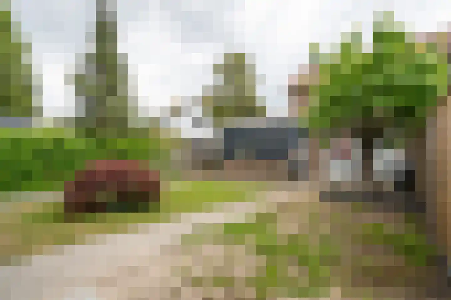 Mildijk 71 Vuren thumbnail 37