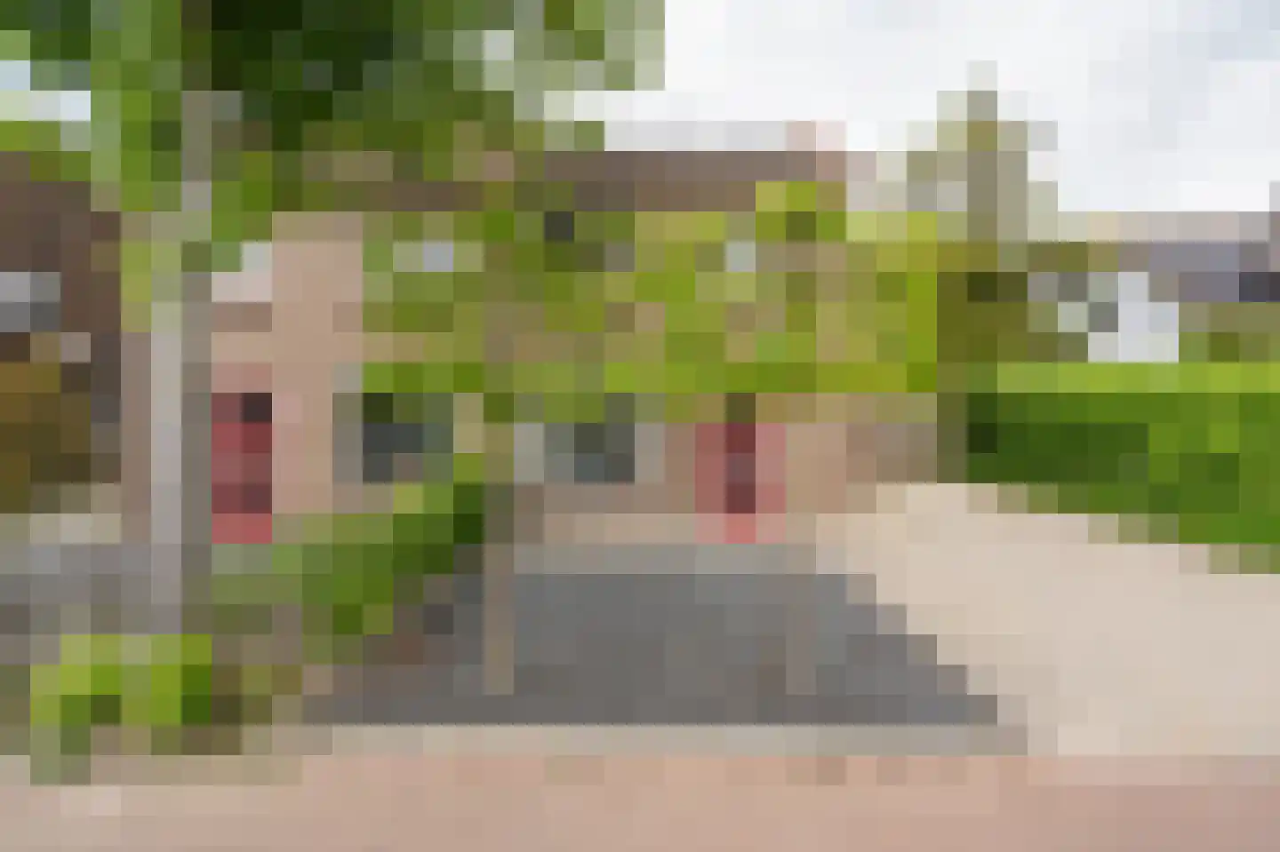 Mildijk 71 Vuren thumbnail 5