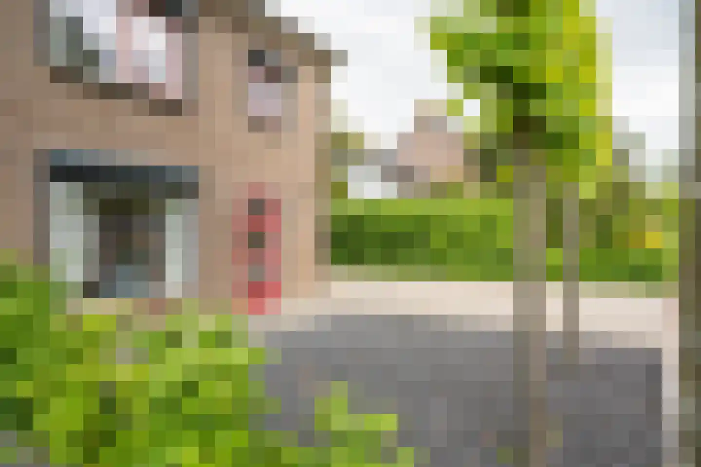 Mildijk 71 Vuren thumbnail 6