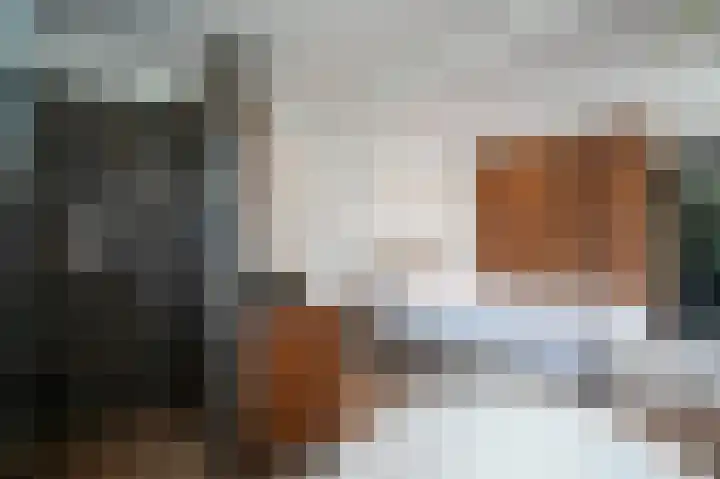 Mildijk 8 Vuren thumbnail 17