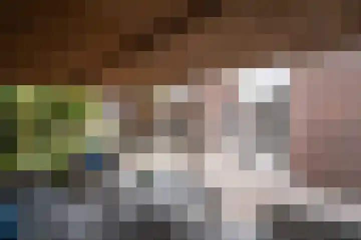 Mildijk 8 Vuren thumbnail 30