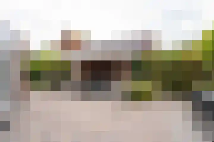 Mildijk 8 Vuren thumbnail 34