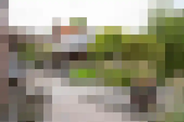 Mildijk 8 Vuren thumbnail 35