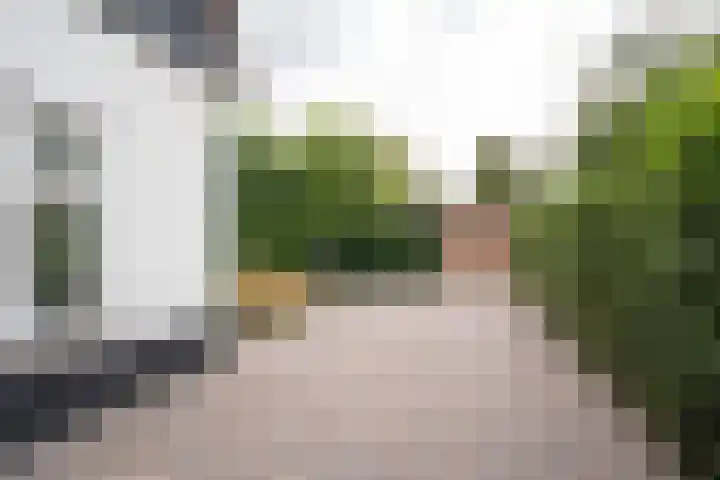 Mildijk 8 Vuren thumbnail 38