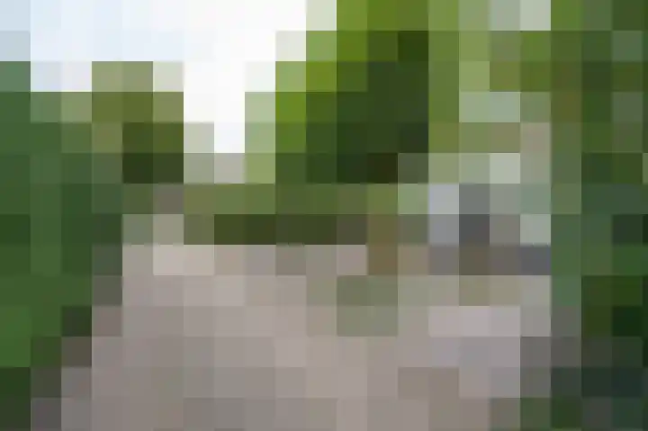 Mildijk 8 Vuren thumbnail 39