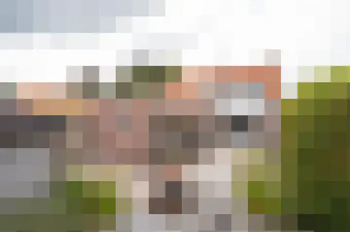 Mildijk 8 Vuren thumbnail 4